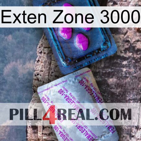 Exten Zone 3000 37.jpg